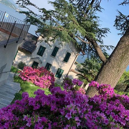 Giardini Magnolia Apartment Belgirate Bagian luar foto