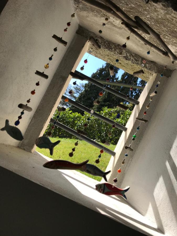 Giardini Magnolia Apartment Belgirate Bagian luar foto