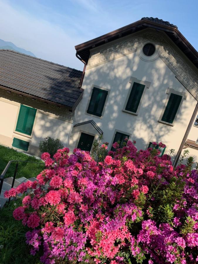 Giardini Magnolia Apartment Belgirate Bagian luar foto