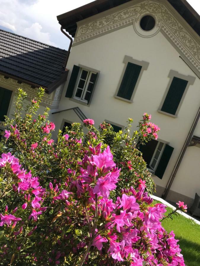 Giardini Magnolia Apartment Belgirate Bagian luar foto